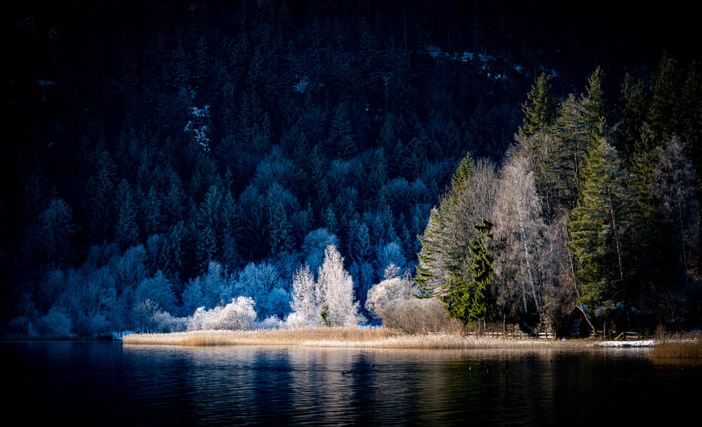 Platz 6 Christoph Frank